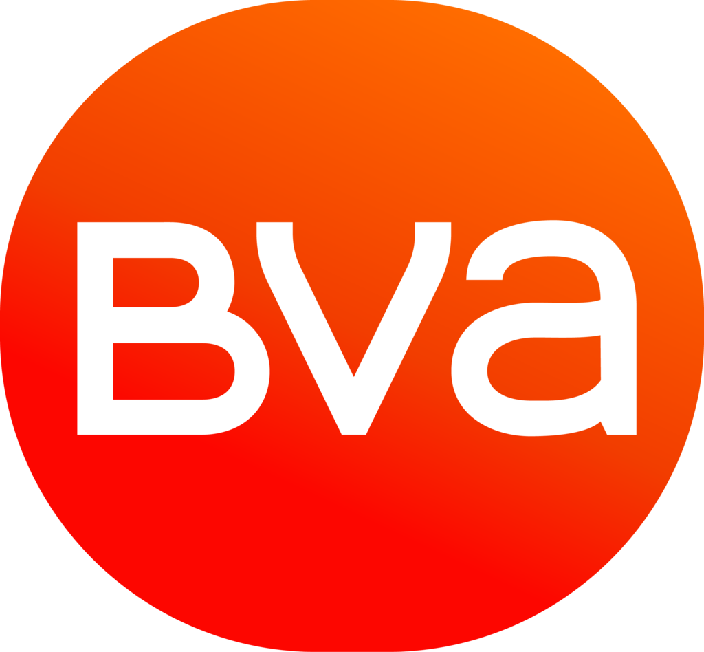 BVA - Refonte de Site Internet - (Agence ultranoir, 2006)